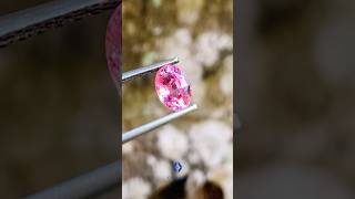 Natural Pink Sapphire  Sapphire Collection  Pink Lover [upl. by Noble252]