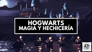 🏰 TODO sobre HOGWARTS La Escuela de Magia de Harry Potter [upl. by Greysun794]