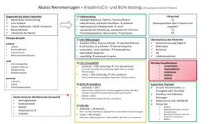 Akutes Nierenversagen  Zusammenfassung für das Medizinstudium und USMLE [upl. by Airan]