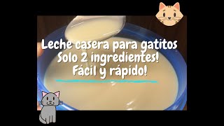 Leche casera para gatitos Solo 2 ingredientes Fácil y rápido [upl. by Katharine808]