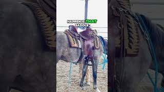 Saddle Training Avoiding Horse Trauma [upl. by Trisha]