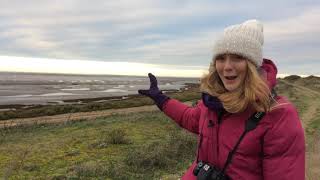 Wild Snippets  RSPB Snettisham [upl. by Nileek]