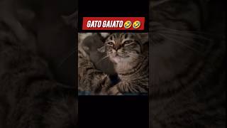 É MUITO GAIATO 🤣🤣🤣 shortsyoutube shotrs videosengraçados [upl. by Afinom]