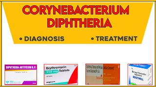 Diphtheria  Diagnosis  treatment  complications [upl. by Virginia]