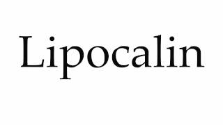 How to Pronounce Lipocalin [upl. by Aidnyc]