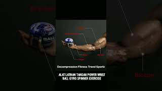 Alat Latihan Tangan power Wrist Ball Gyro Spinner Exercise [upl. by Vorfeld]