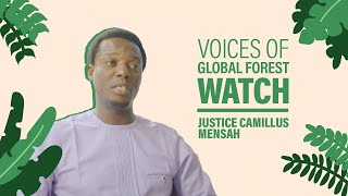 Voices of Global Forest Watch Hen Mpoano [upl. by Mojgan]