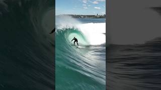 BODYBOARDER amp SURFER CHARGING SHARK ISLAND 🦈🏝️ Shaun Petersen Drone [upl. by Neeli782]