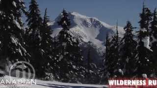 Wilderness Run Snowmobile Tour Whistler Canadian Wilderness Adventures [upl. by Soraya815]