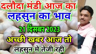 दलौदा मंडी आज का लहसुन का भाव 21 दिसंबर 2023 fresh garlic rate today daloda mandi aaj ka bhav [upl. by Yawnoc104]