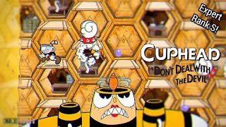 Cuphead Rumor Honeybottoms Expert Rank S 1 Player PS4 FAT  SPAZNOOBYT 1119 [upl. by Anahsar413]