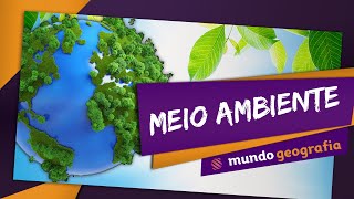 🏭️ Meio Ambiente 22 Atividade humana e impactos ambientais  Geografia  ENEM [upl. by Byrdie412]