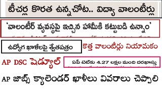 వాలంటీర్ వ్యవస్థ కొనసాగింపు  ఉద్యోగ ఖాళీలు శ్వేత పత్రం  AP Jobs Update  Volunteers latest News [upl. by Esinad]