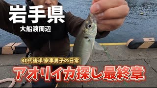 岩手県 夜通し釣りしたよ✌︎ω✌︎ アオリイカは釣れなかったけどね笑 [upl. by Irakuy222]