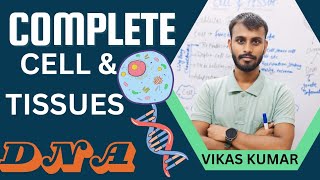 Complete Cell and Tissue Cell ampTissue DNA amp PROTEINS Mitosis [upl. by Ronny55]