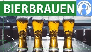 Bierbrauen  Enzyme im Alltag amp Praxis  Stoffwechselbiologie einfach erklärt [upl. by Lonee]