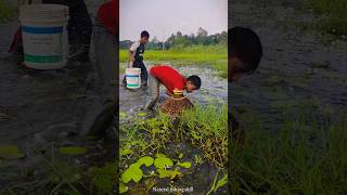 Village Traditional Bamboo Tools Polo Fishing Video😱🖤Part47fish shorts trending [upl. by Ateuqirne608]