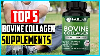 Top 5 Best Bovine Collagen Supplements in 2024 [upl. by Abla912]