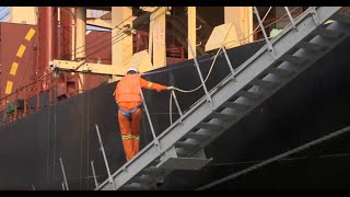 1310 Safe Gangway and Ladder Operations Edition 2  Trailer [upl. by Burrow]