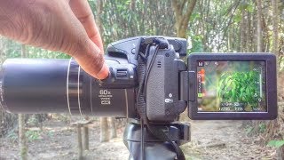 Full Manual Mode Nikon Coolpix B700  B600  P610  P900  P950  P1000 Tutorial [upl. by Bowe]