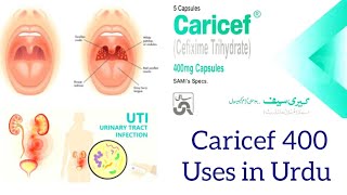 Caricef 400 mg capsules uses in urdu  Caricef capsules [upl. by Viva840]