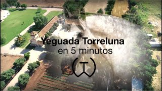 Yeguada Torreluna en 5 minutos [upl. by Kassity]