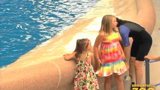 Army Sergeant Surprises Daughters at Brookfield Zoos Dolphin Presentation [upl. by Atikam]