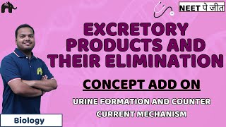 Excretory Products And their Elimination Class 11 NEET  Urine Formation Tubules  Biology [upl. by Pantheas457]