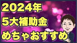 【速報】2024年5大補助金概要まとめ（結論超おすすめ） [upl. by Sarene699]