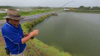 I Tried Fly Fishing For Barramundi At Hook A Barra fishing [upl. by Romina]