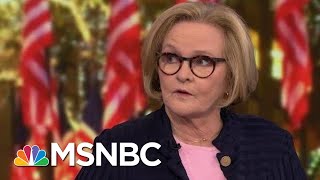 McCaskill Health Insurance Will Be The Main Issue Of The 2020 Campaign  The 11th Hour  MSNBC [upl. by Enneirdna]