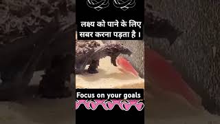 Focus on your goalsviralreels facts aivoice shortsvideo popular trending motivation [upl. by Eelana]