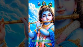 Sri Radha Krishna Song krishna krishnabhajan krishnastatus radha radhakrishna radheradhe love [upl. by Ynaittirb334]