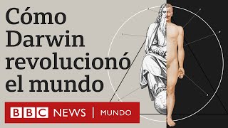 Evolución vs Dios por qué la teoría de Darwin fue revolucionaria  BBC Mundo [upl. by Nnylarej465]