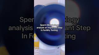 Sperm Morphology  Semen Analysis sperm semenhealth fertility infertility [upl. by Annaicul]