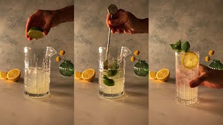 Limoncello Gin Fizz Shorts Cocktail [upl. by Savell]