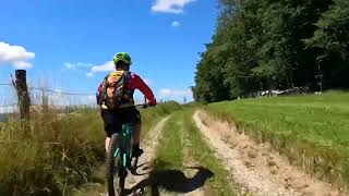 Mtb Enduro Trail Steyr Damberg Propain tyee🤟 2022 nice ride… [upl. by Anod273]