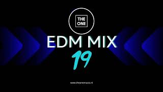 THE ONE  EDM Mix 19 2024 Mixtape Techno Bigroom Progressive house [upl. by Leizar]