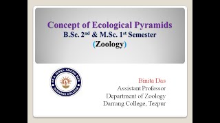 Concept of Ecological Pyramids [upl. by Ileana]