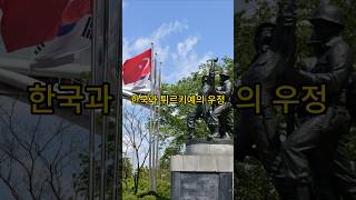 한국과 튀르키예의 우정 [upl. by Norbel801]