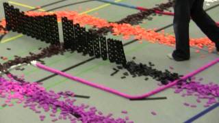 7500 Dominoes 308 Dominotowers [upl. by Nnylrahc677]