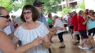 Box On  Blue Skirt Waltz  Twin Cities Polish Festival 10th Anniversary [upl. by Prudie]