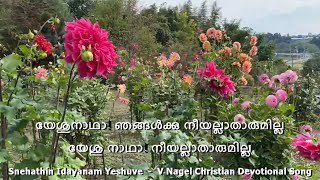 Snehathin Idayanam Yeshuve സ്നേഹത്തിൻഇടയനാംയേശുവേ Lyrics V Nagel Christian Devotional song Lyrics [upl. by Almap]