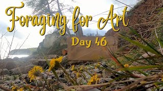 Nature Journal Day 46  Foraging for Coltsfoot  Nature Journaling Vlog [upl. by Langsdon]