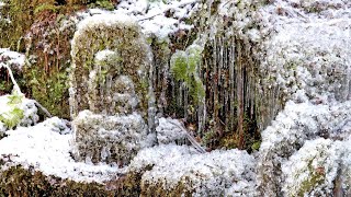 厳冬に耐えるけなげな石像 つららや氷、全身にまとい 丹波・高源寺 [upl. by Ahcsropal]