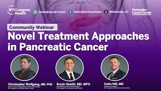 Novel Treatment Approaches for Pancreatic Cancer [upl. by Marelya]