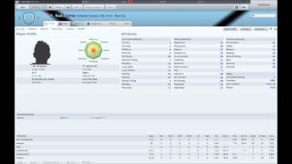 Football Manager 2011 Wonderkids Part 2 [upl. by Tann]