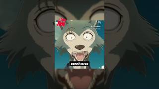 Enfin la saison 3 finale de Beastars le mois prochain  🔥 beastars anime netflix [upl. by Ikoek]