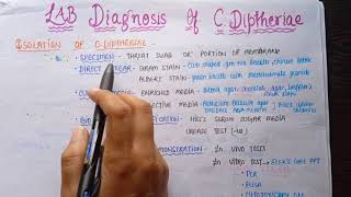 Corynebacterium diphtheriae Morphology Pathogenesis Toxins Clinical features lab Diagnosis Tt [upl. by Repohtsirhc]