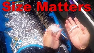 Mangrove Snapper Tips Bait Size Matters [upl. by Moguel]